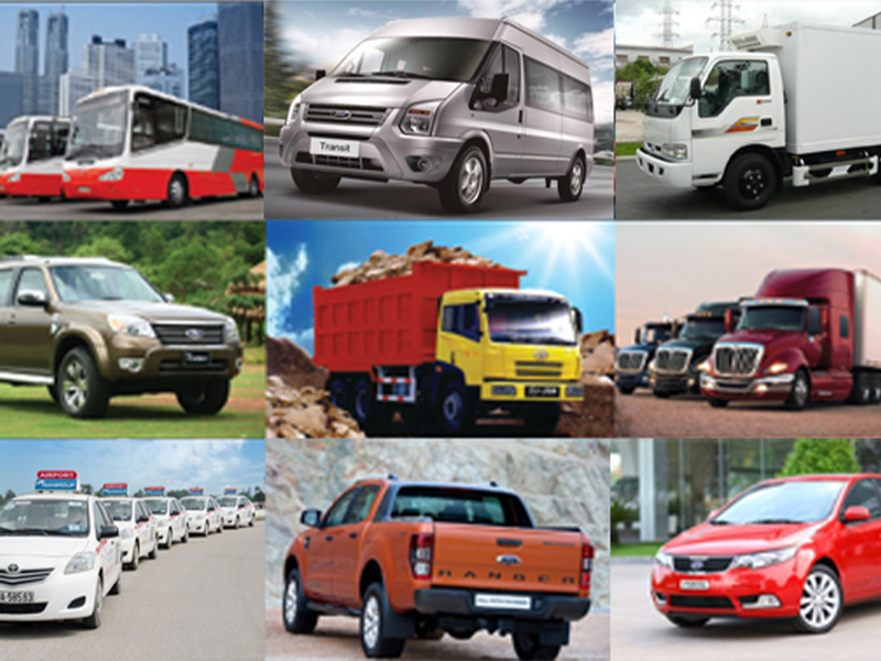 Hợp Tác Xã Vận Tỉa Uy Tín Tại Thành Phố Hồ Chí Minh