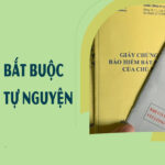 Tài xế chạy app có cần mua bảo hiểm riêng không?
