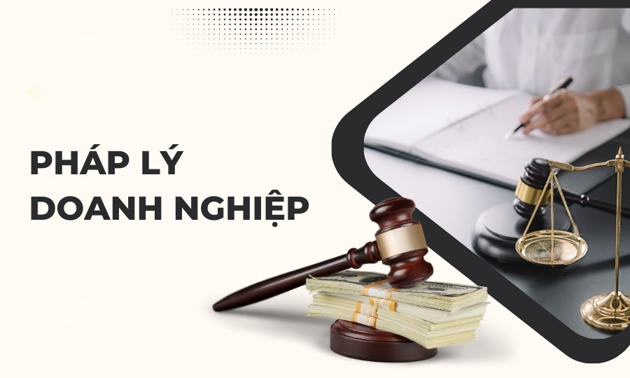Doanh Nghiệp Vận Tải Nhỏ Cần Lưu Ý Gì Về Pháp Lý?
